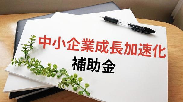 中小企業成長加速化補助金 中小企業成長加速化補助金,ビジネス,企業の写真素材