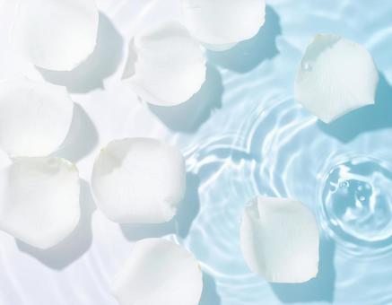 水面 波紋 2の写真