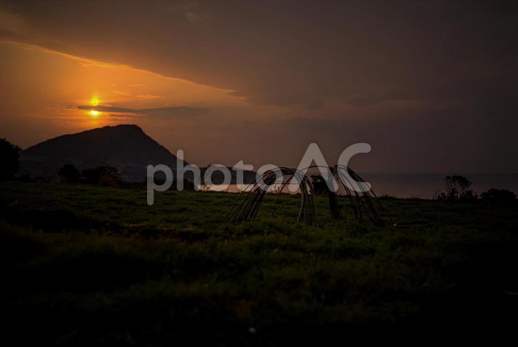 ＜五島の風景＞トンネル栽培準備中の畑 農業,畑,トンネルハウスの写真素材