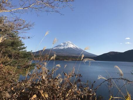 富士山 富士山の写真