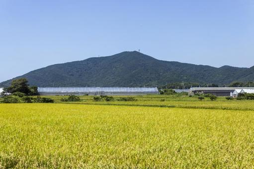 大山3(田原市) 大山3(田原市) 大山,トレッキング,ハイキングの写真素材