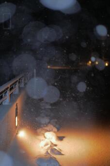 雪 雪の写真