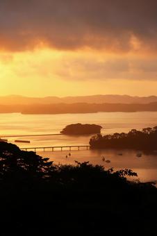 Photo, natural, sunny, a sunny day, 