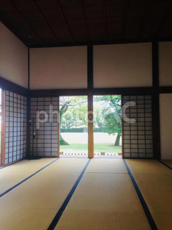 和室からの眺め 住宅,光,博物館の写真素材