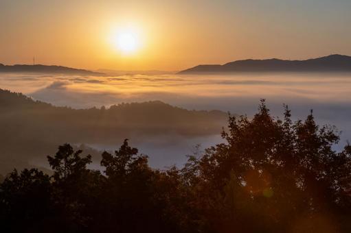 雲海 雲海,風景,朝の写真素材