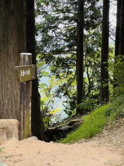 山の小道 山の小道の写真