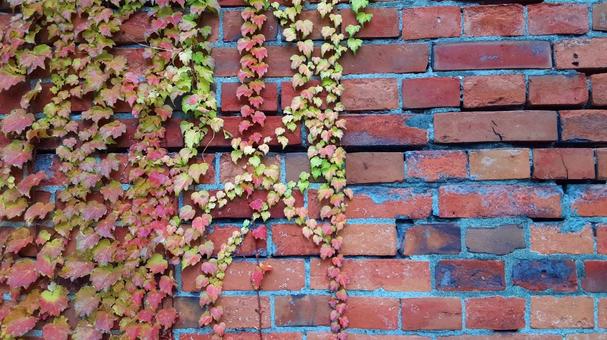 やや古いレンガ塀・2 レンガ,ブロック,壁の写真素材