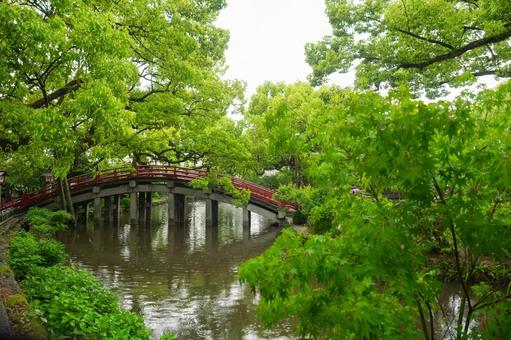 The red bridge of Dazaifu Tenmangu Shrine, JPG