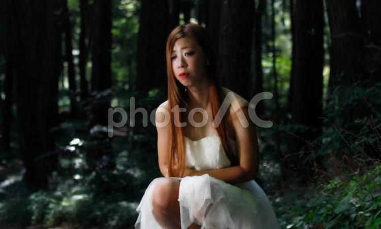 美人女性　森の中で散歩r_M_020 女,女性,歩くの写真素材