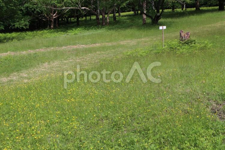 娘と三度目の兜明神登山　８３ 山登り,林間学校,思い出の写真素材