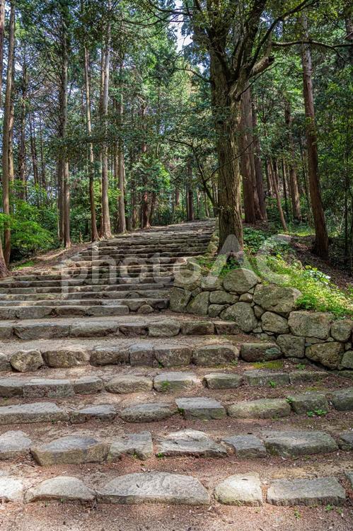 安土城　石段 安土城,日本100名城,石垣の写真素材