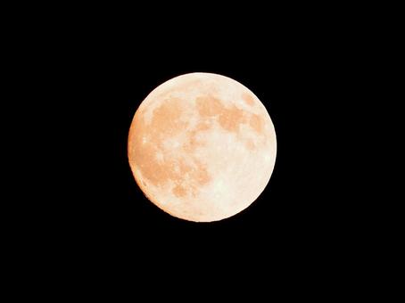 【風景写真】中秋の名月 2025.10月 【風景写真】中秋の名月 2025.10月 中秋の名月,満月,秋の写真素材