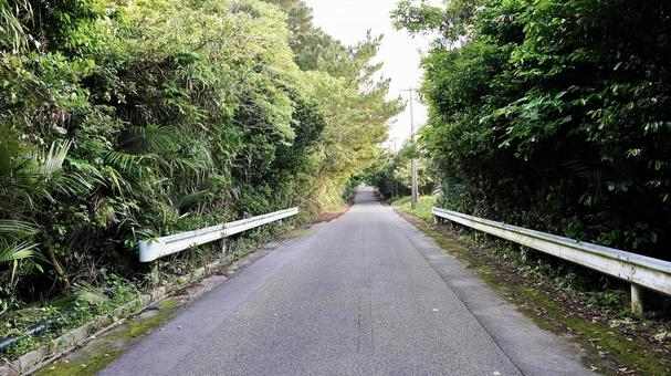 沖縄県八重山諸島西表島の県道215号 沖縄県八重山諸島西表島の県道215号 県道215号,道,西表島の写真素材