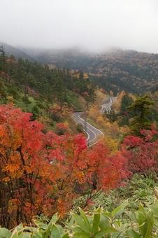 金精峠 紅葉 金精峠 紅葉 景色,見晴らし,金精峠の写真素材