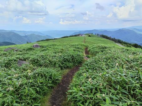 長野県 三峰山の登山道 長野県 三峰山の登山道の写真