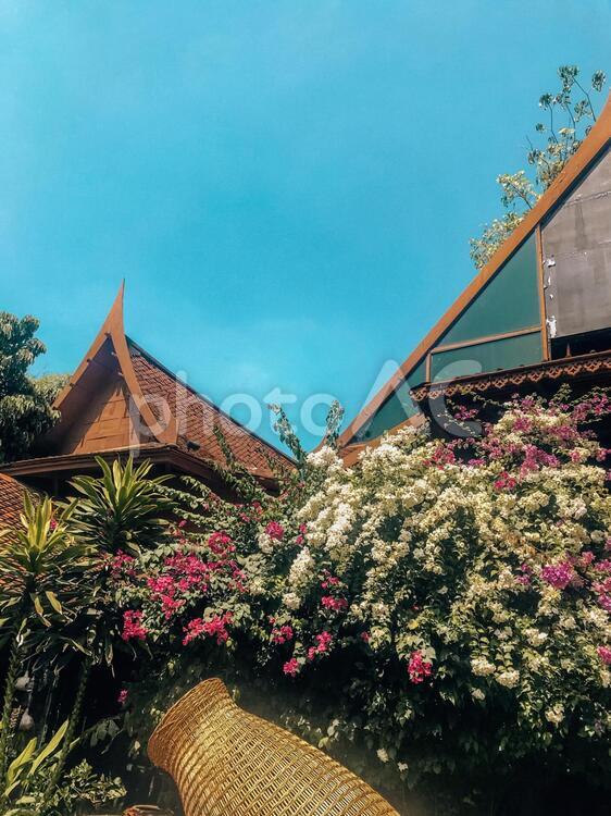 タイの民家 タイ,古民家,バンコクの写真素材