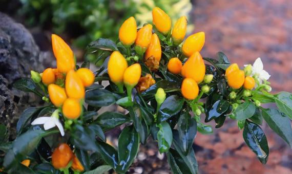 悪夢が覚めたの写真