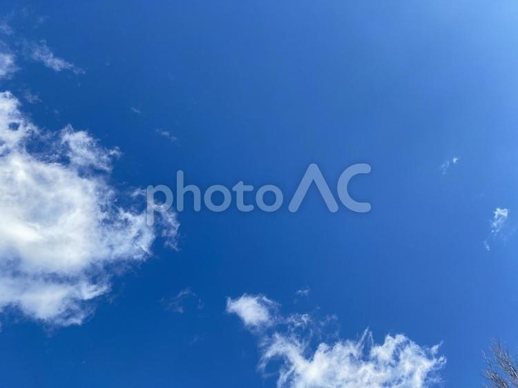 晴天　空　青空　自然　晴れ 空,青空,自然の写真素材