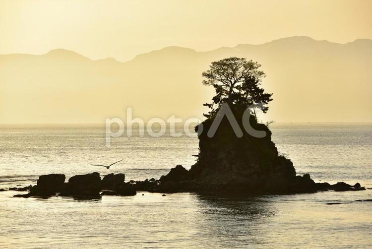 富山湾雨晴海岸 海,海岸,風景の写真素材