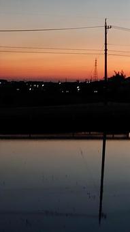 夕方の空と田んぼの反射 夕方の空と田んぼの反射の写真