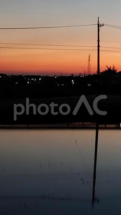 夕方の空と田んぼの反射 夕暮れ,空,夕焼けの写真素材