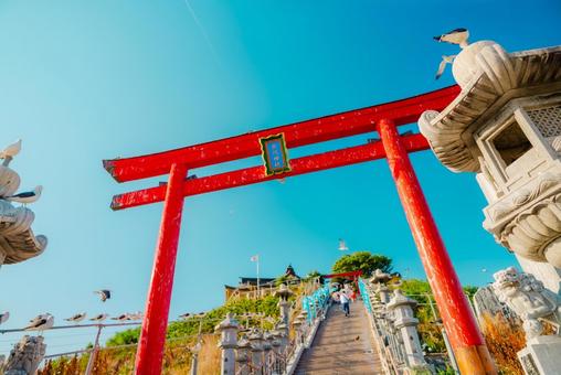 【青森】本八戸の蕪嶋神社 2025 【青森】本八戸の蕪嶋神社 2025の写真