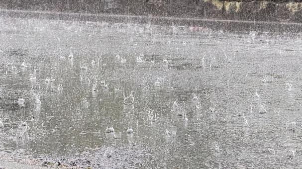 地面に打ち付ける雨 地面に打ち付ける雨 雨,豪雨,ゲリラ豪雨の写真素材