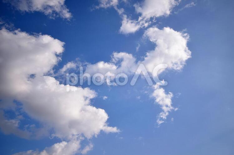 青空と雲 青空,空,雲の写真素材
