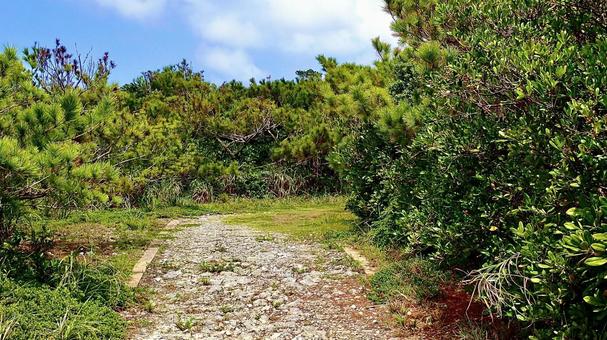 Mihanahara Promenade in the Kerama Islands of Tokashiki Island, Okinawa Prefecture, JPG
