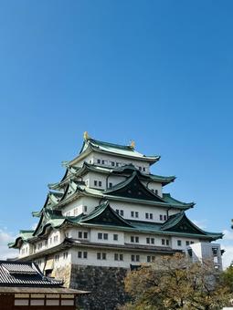 名古屋城2 しゃちほこ,名古屋,名古屋城の写真素材