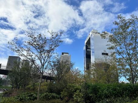 梅北広場から見る空中庭園 梅北広場から見る空中庭園 大阪,梅田,グラングリーンの写真素材