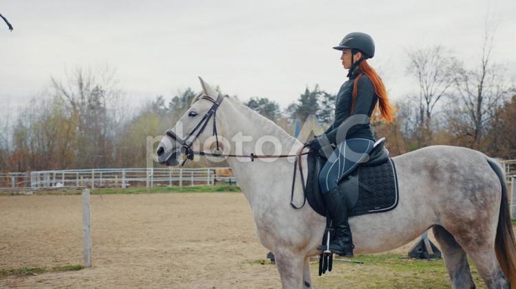 白馬に乗る騎手 馬,白馬,白の写真素材
