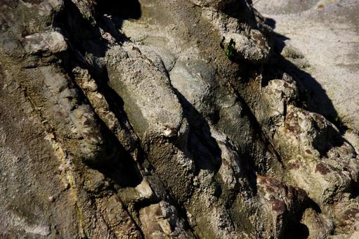 石灰岩と地層②の写真
