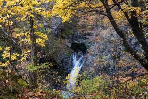 秋の鳳鳴四十八滝⒁ 秋,紅葉,滝の写真素材