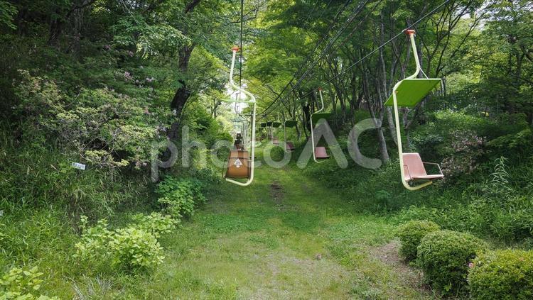 妙見の森　リフト リフト,妙見,妙見の森の写真素材