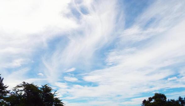 雲と空-風強め 雲と空-風強めの写真