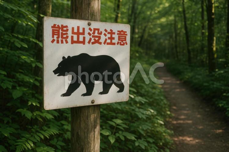 動物注意の看板と森道 動物注意,看板,日本の写真素材
