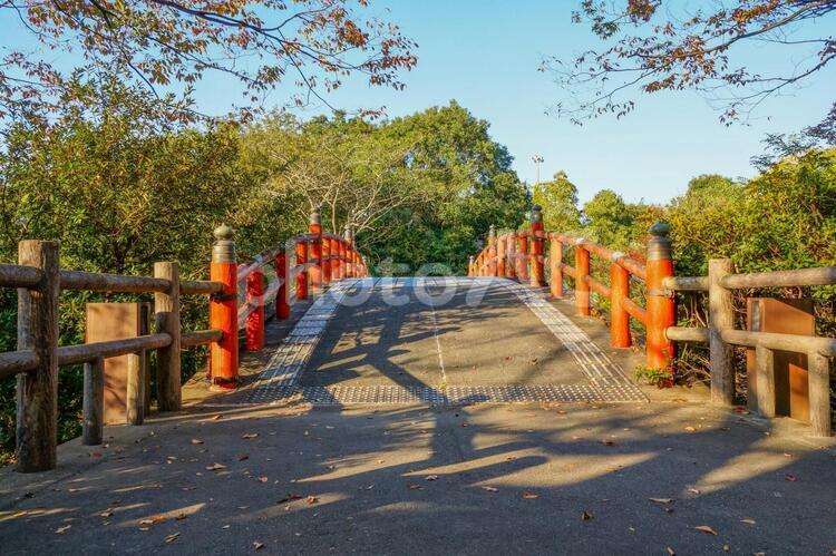 【公園】公園に架かる橋 道路,公園,木の写真素材