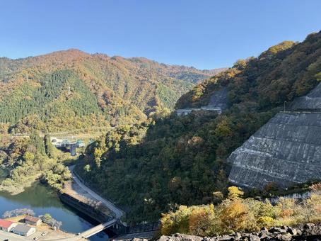 秋の福井県の九頭竜ダム　紅葉に色づく湖 秋,晩秋,九頭竜ダムの写真素材