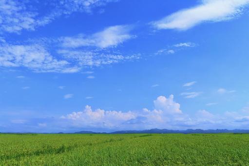 8月・真夏の田園風景・空雲 8月・真夏の田園風景・空雲 田園風景,夏,夏空の写真素材