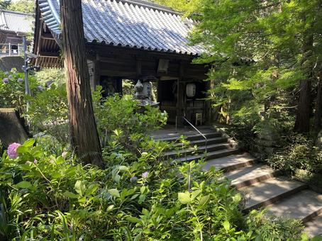 中門 中門 熊谷寺,徳島県,阿波市の写真素材