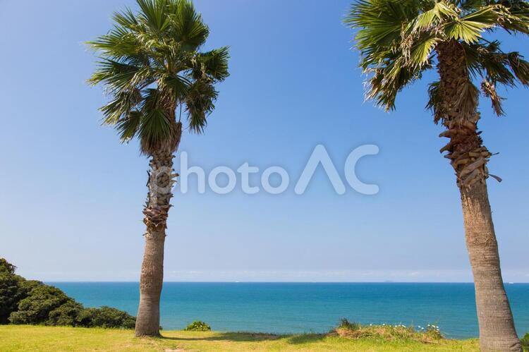 福岡県糸島の風景 浜,水,風景の写真素材