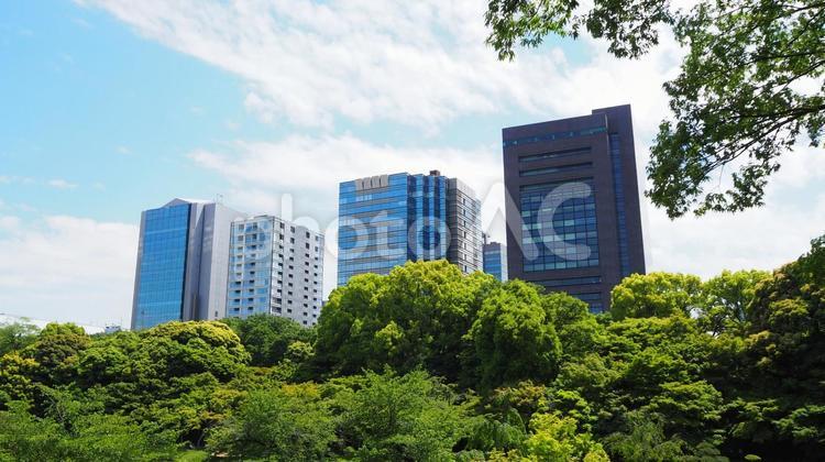 小石川後楽園・新緑の木々と街並み・文京区 夏,小石川後楽園,文京区の写真素材