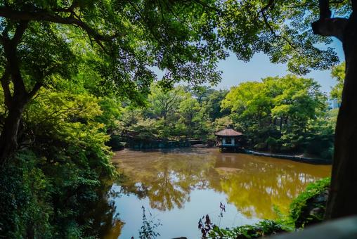 【和歌山】和歌山城 2025 【和歌山】和歌山城 2025の写真