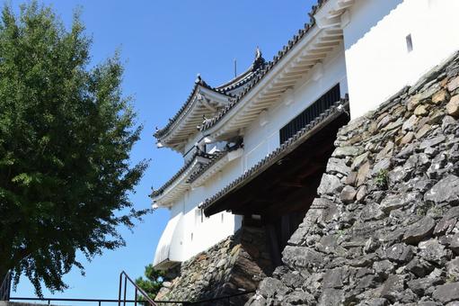 和歌山城 和歌山城の写真