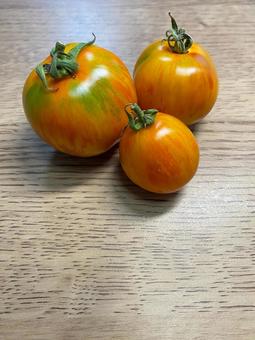ゼブラ模様が珍しいレッドゼブラトマト ゼブラ模様が珍しいレッドゼブラトマト トマト,レッドゼブラトマト,野菜の写真素材