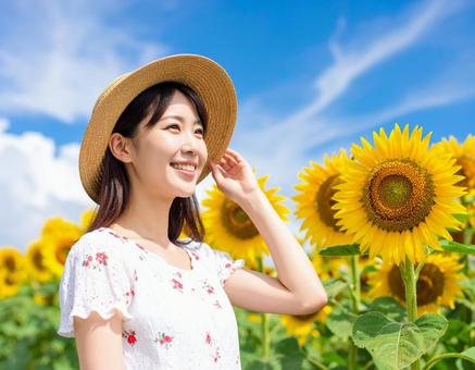 ひまわり・麦わら帽子の彼女 ひまわり・麦わら帽子の彼女の写真