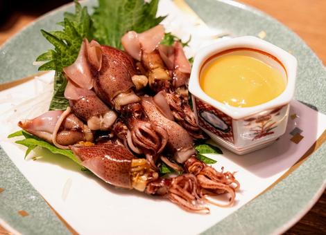 いか いか いか,洋食,居酒屋の写真素材