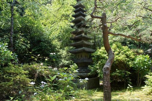 鎌倉 安国論寺 鎌倉 安国論寺の写真