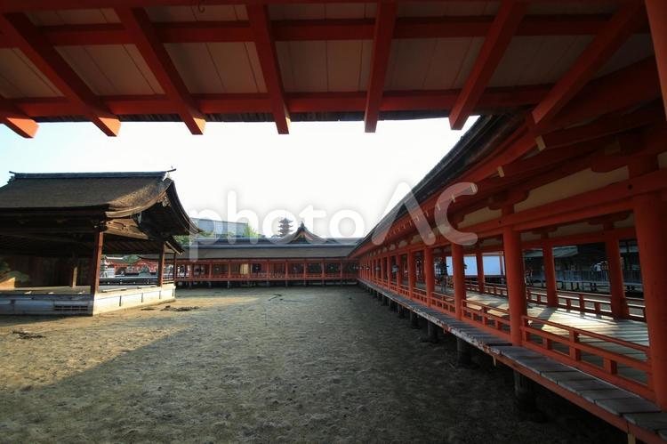 厳島神社 旅,構造,橋の写真素材
